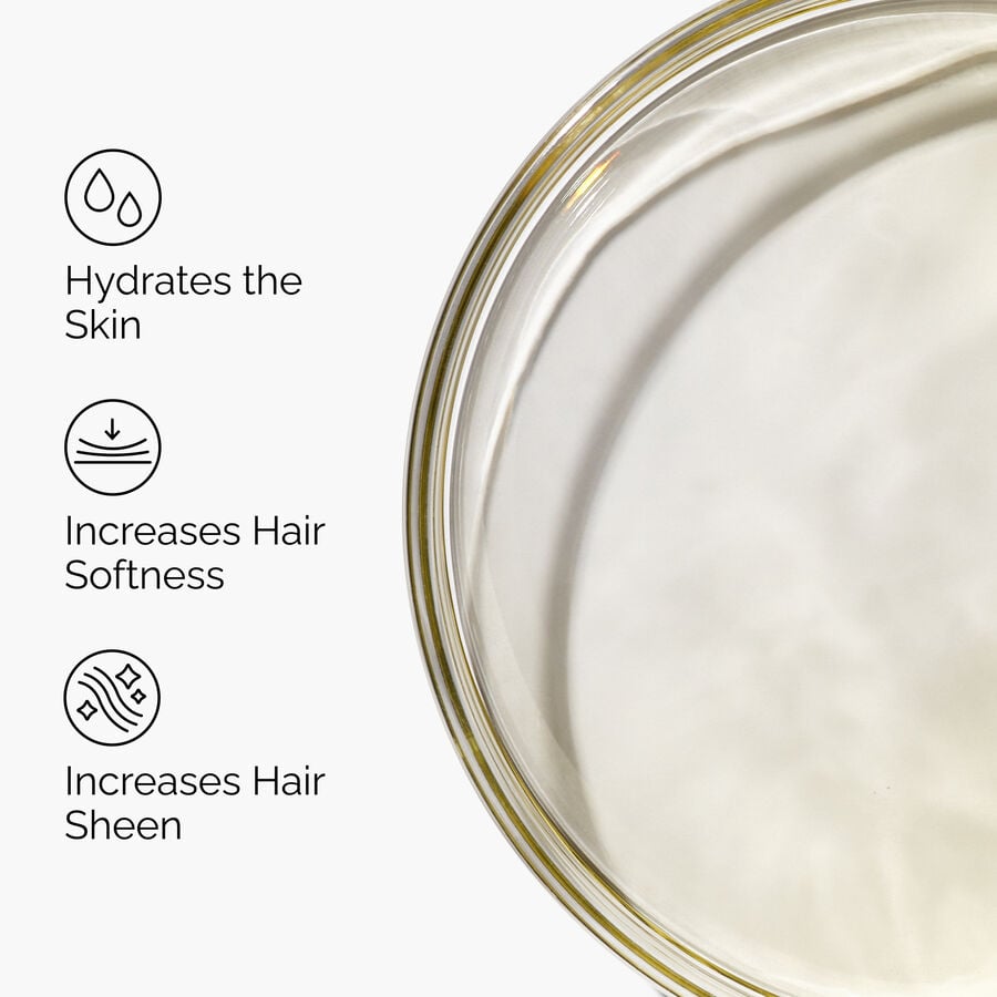 100-organic-cold-pressed-moroccan-argan-oil-i6 FY25-D41247-ORD-Web-PDP-100-Argan-Oil-1x1-EN-3.jpg