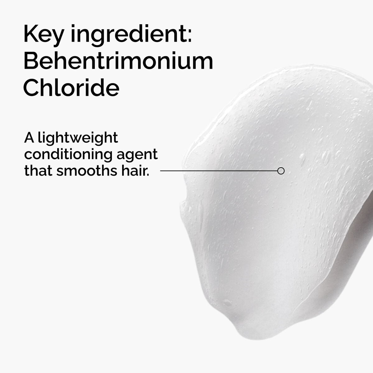 behentrimonium-chloride-2-conditioner-y8 FY25-D41247-ORD-Web-PDP-BTC-1x1-EN-2a.jpg