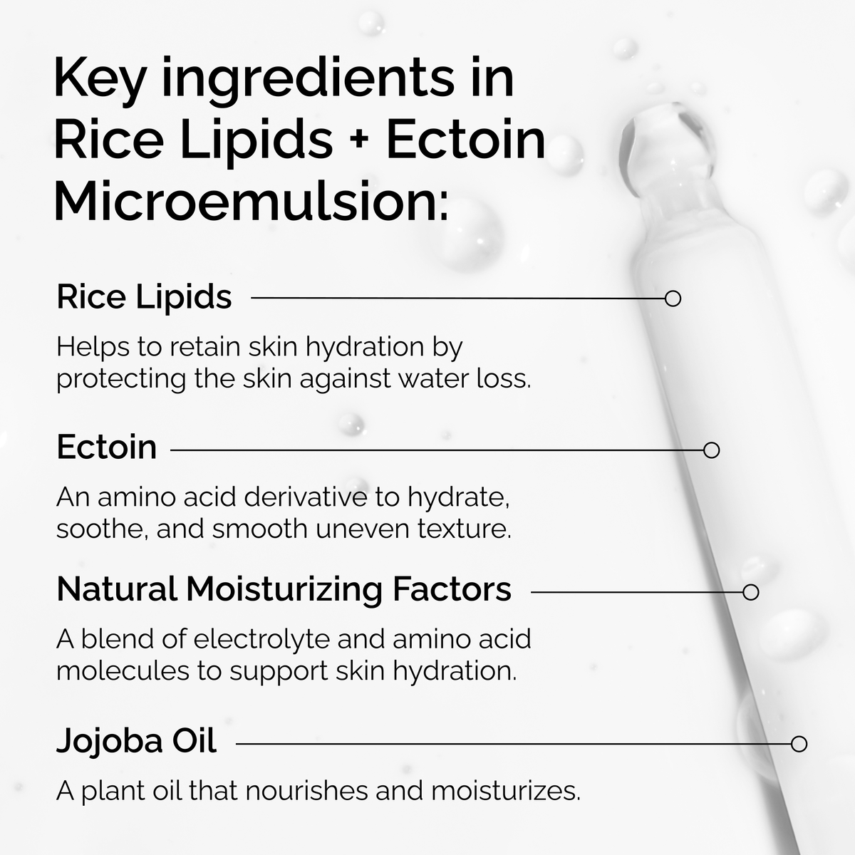 rice-lipids-ectoin-microemulsion-s0 ord-rice-lipids-ectoin-microemulsion-key-ingredients.png
