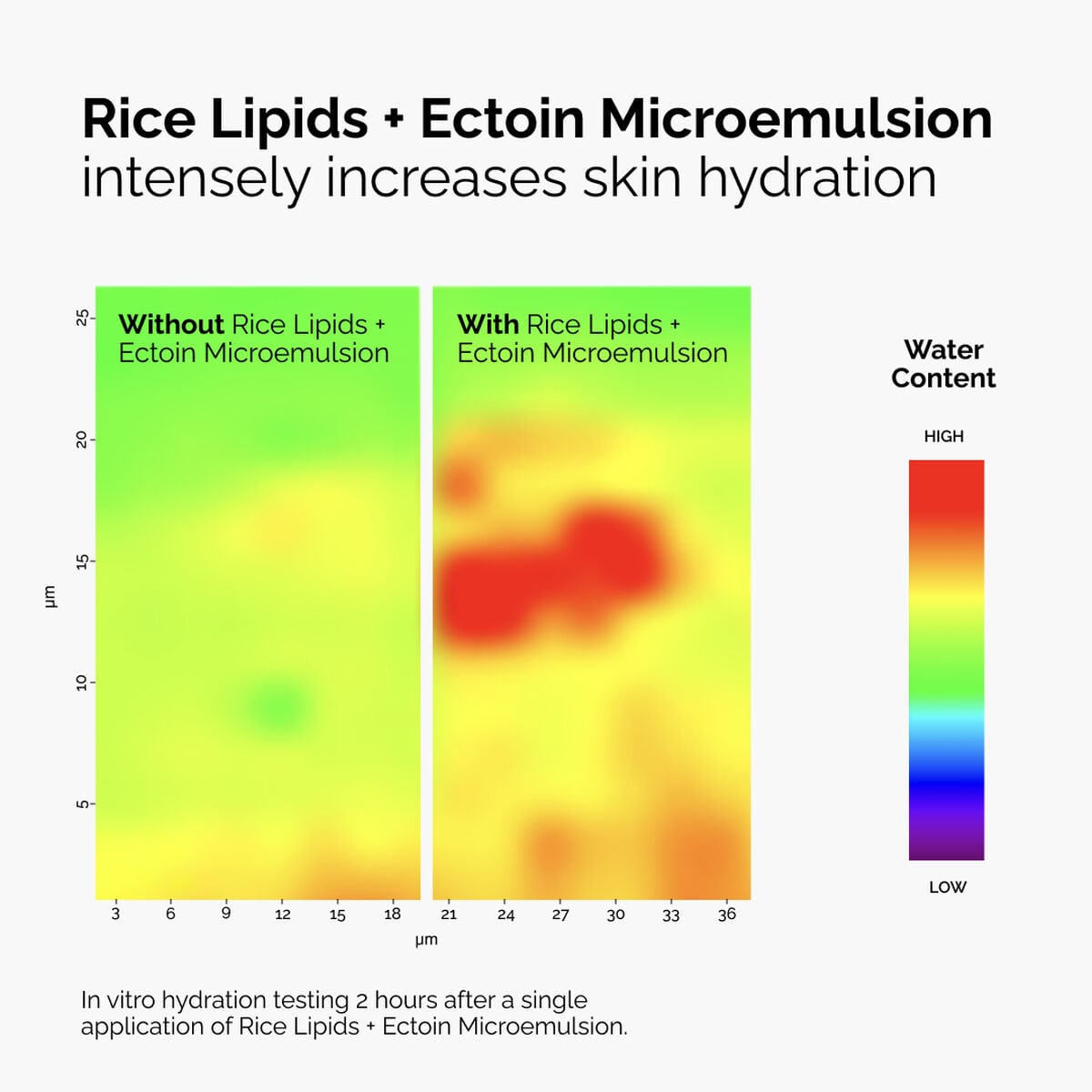 rice-lipids-ectoin-microemulsion-s0 ord-rice-lipids-ectoin-microemulsion-thermal-before-after.jpg